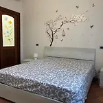 34 Arena House